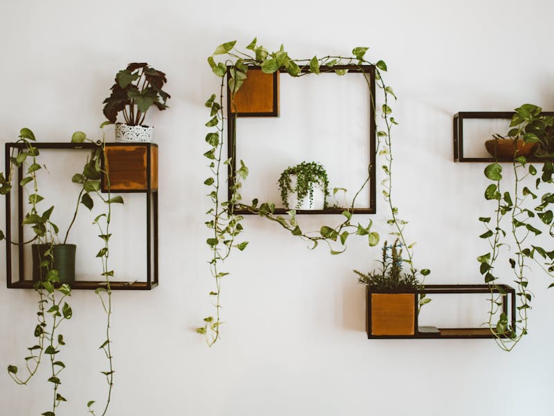 pexels-roman-odintsov-5337506